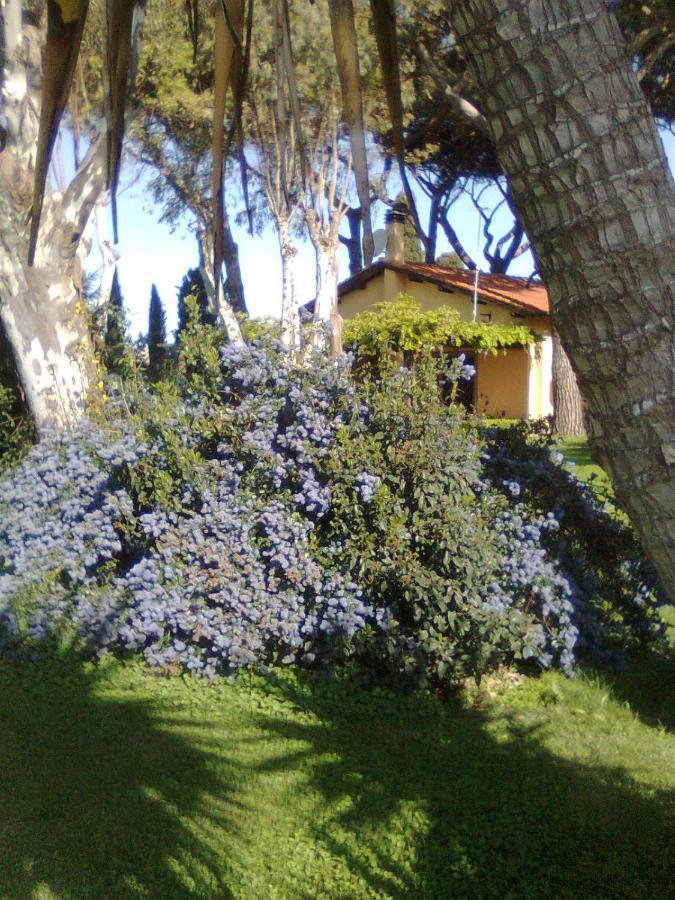 Casa Vacanze Vigna Di Valle براتشيانو المظهر الخارجي الصورة