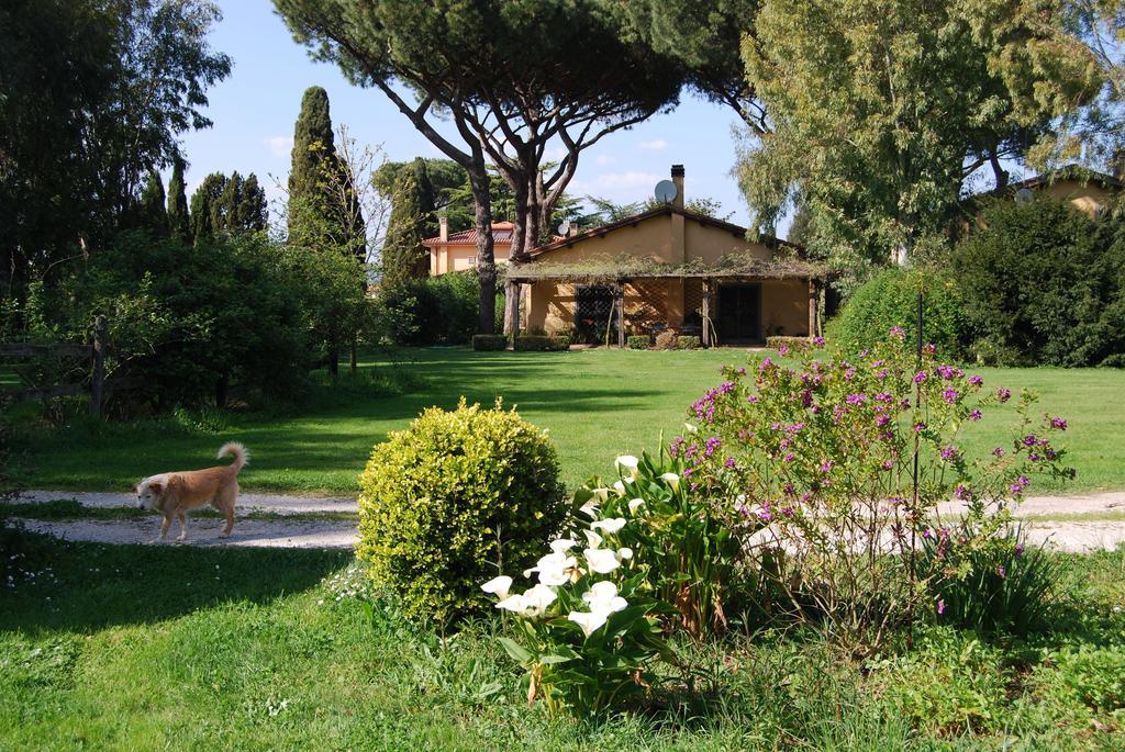 Casa Vacanze Vigna Di Valle براتشيانو الغرفة الصورة