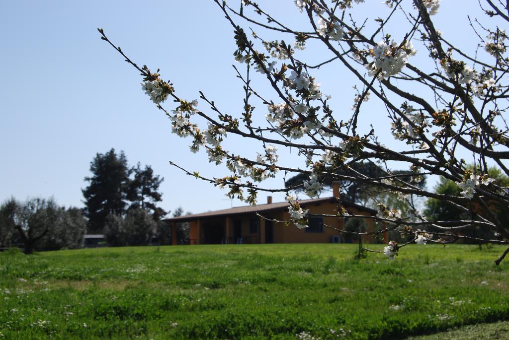 Casa Vacanze Vigna Di Valle براتشيانو الغرفة الصورة