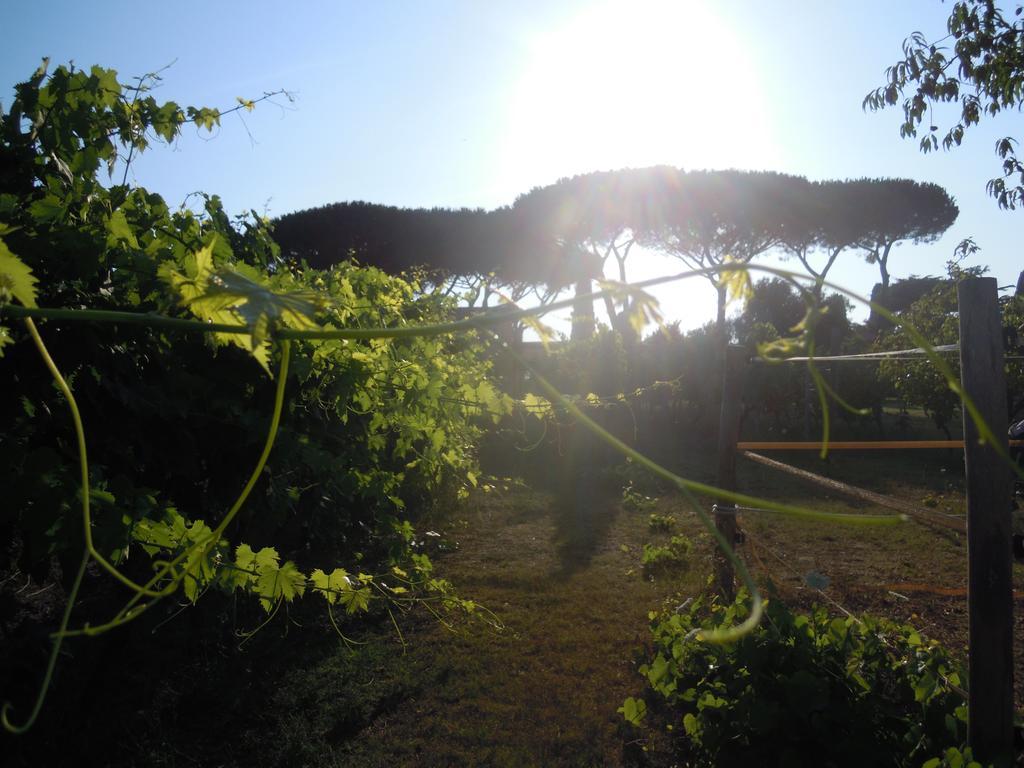 Casa Vacanze Vigna Di Valle براتشيانو المظهر الخارجي الصورة
