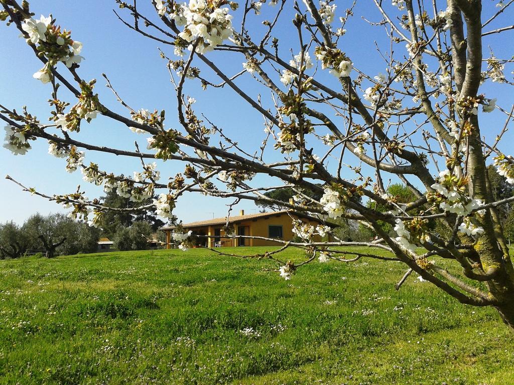 Casa Vacanze Vigna Di Valle براتشيانو المظهر الخارجي الصورة