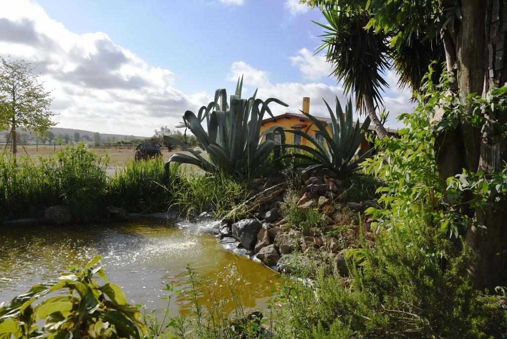 Casa Vacanze Vigna Di Valle براتشيانو المظهر الخارجي الصورة