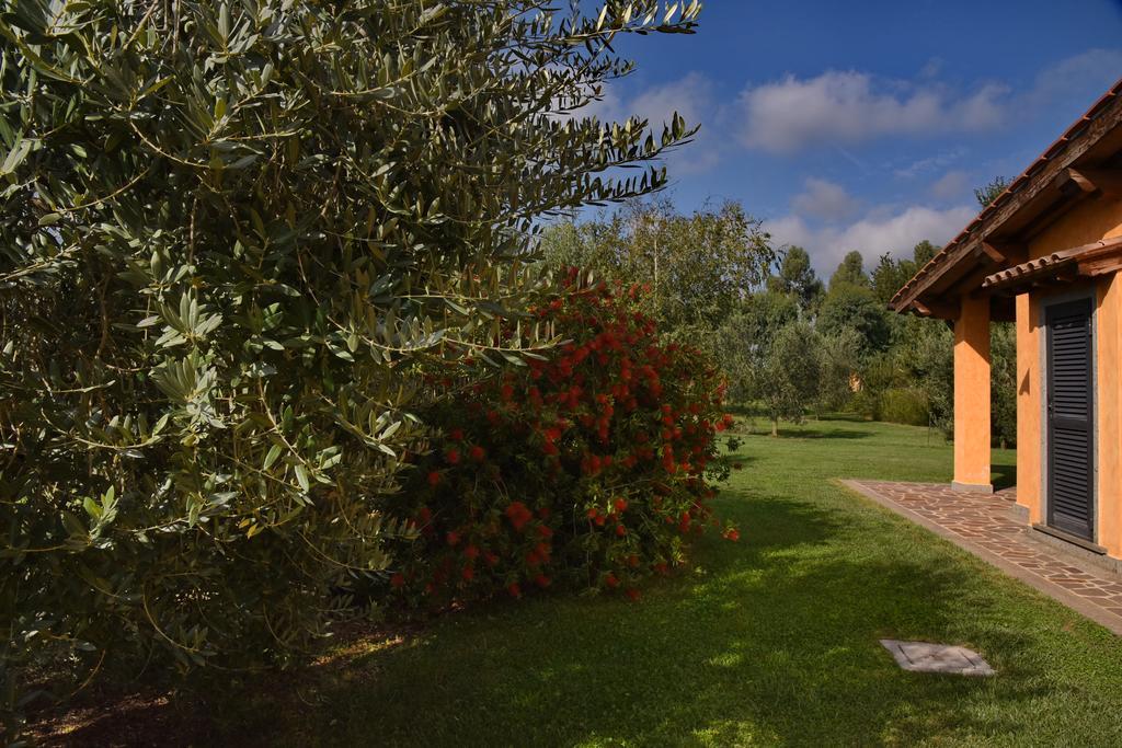 Casa Vacanze Vigna Di Valle براتشيانو الغرفة الصورة