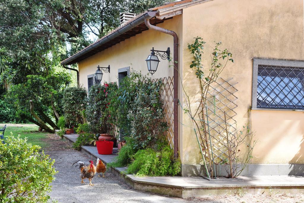 Casa Vacanze Vigna Di Valle براتشيانو الغرفة الصورة